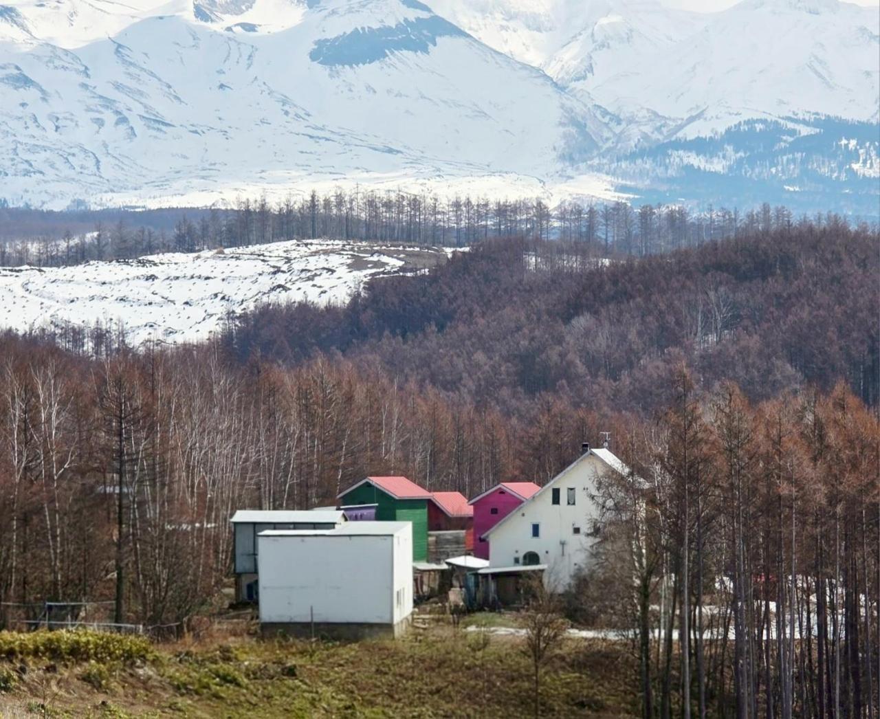 宁古林山林小屋旅馆 美瑛町 外观 照片