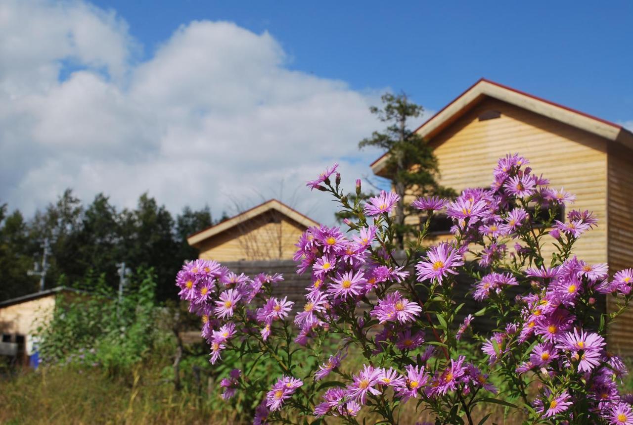 宁古林山林小屋旅馆 美瑛町 外观 照片